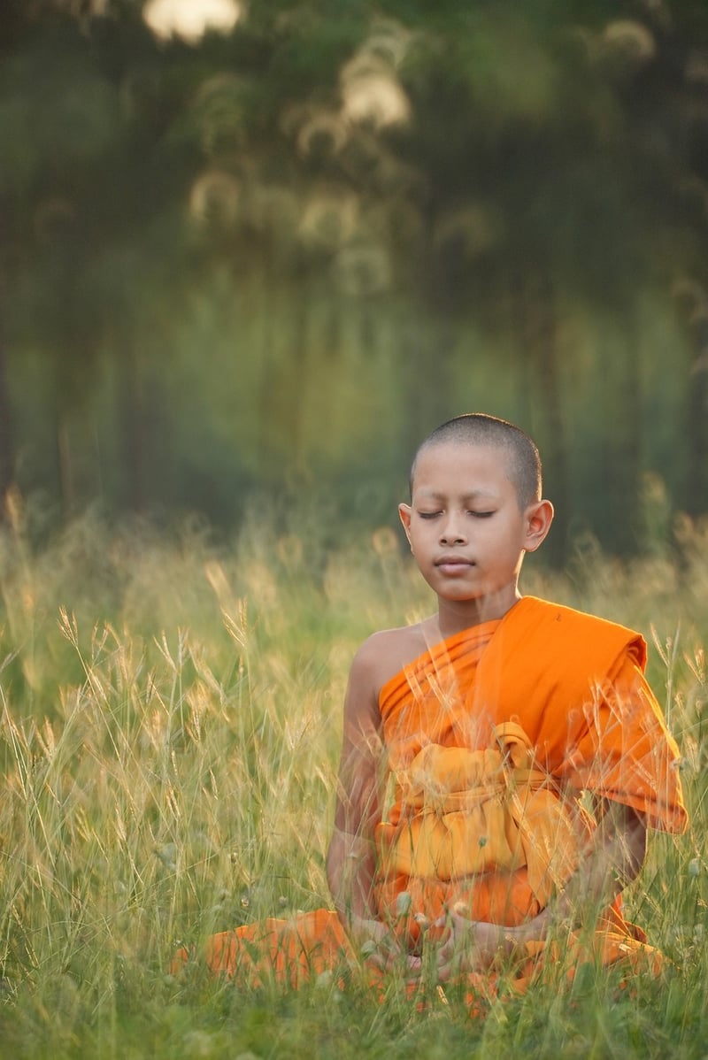 Meditation and Spiritual Yoga